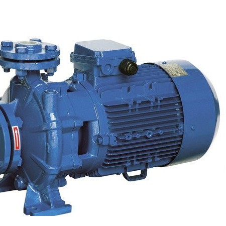 Насос поверхностный SPERONI CS 40-200 B